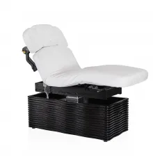 Электрический стационарный массажный стол NESS-D Salon