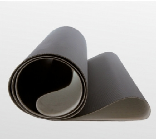 Беговая дорожка BH FITNESS F9R DUAL