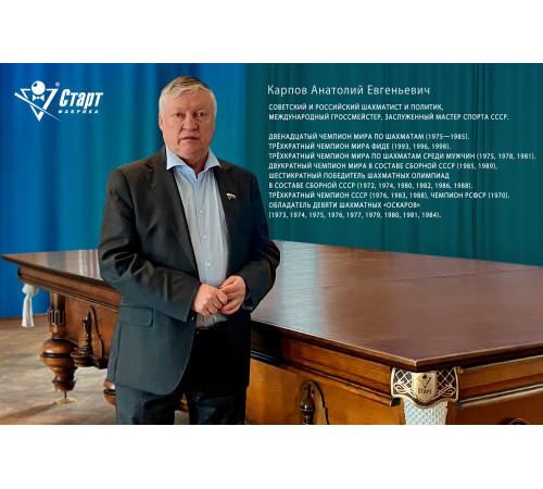 Бильярдный стол Гроссмейстер