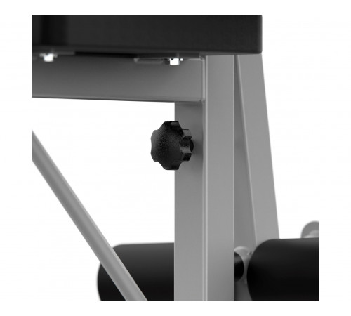 Скамья под штангу DFC D742