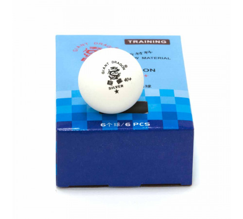 Мячи Dragon Training Silver 1* New (6 шт, бел.) в коробке
